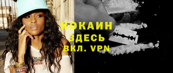 прущие грибы Зерноград