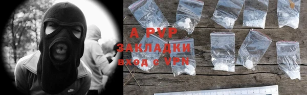 прущие грибы Зерноград