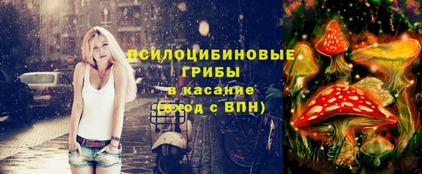 прущие грибы Зерноград