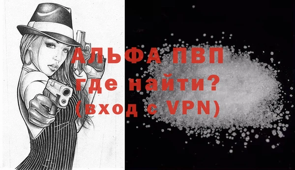 прущие грибы Зерноград