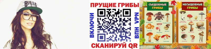 Купить  Медвежьегорск  Галлюциногенные грибы мицелий 
